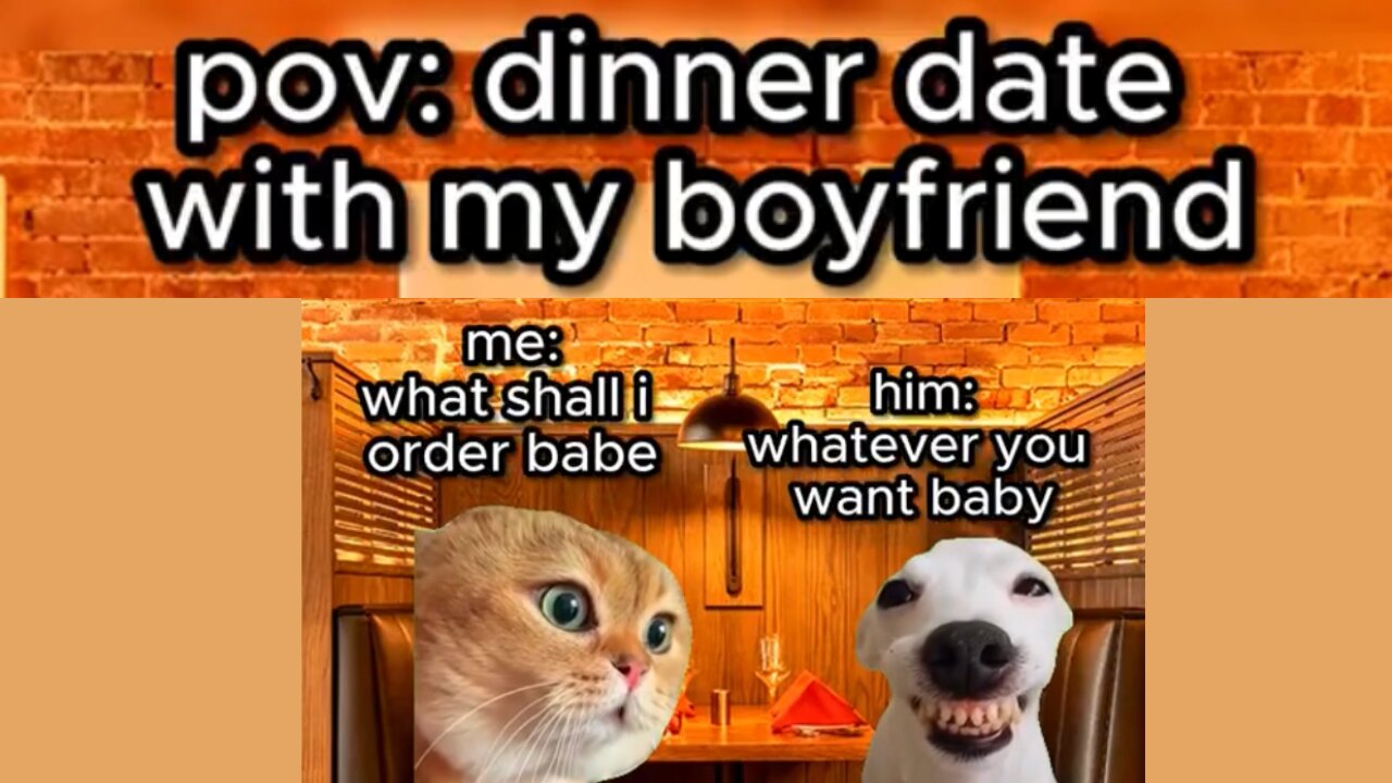 Share it with your Bf😳😳!!Cats meme part:07