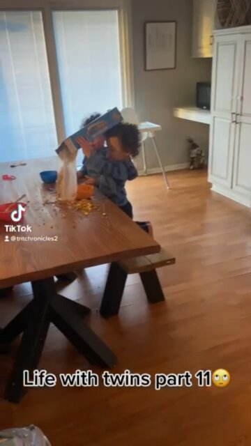 Twins pour out box of cereal