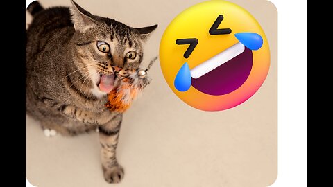 Funny and Fails Pets Video