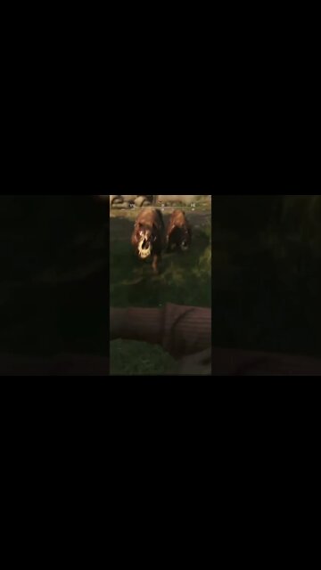 Oh Shi-- | Hunt Showdown Funny Moments #shorts #HuntShowdown #pcgaming