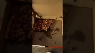 Alexandra’s Pizza in Halifax / PEI