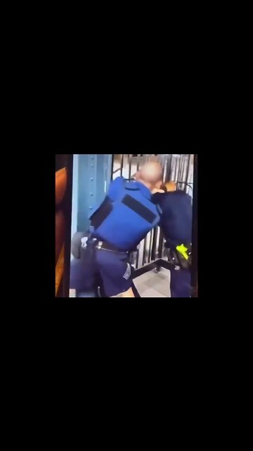 Black Youth Brawling With Manhattan police