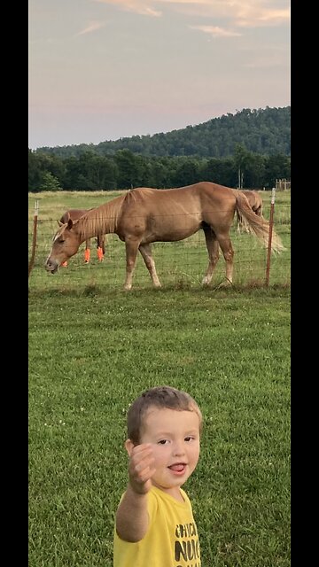 Snakes and waterfalls