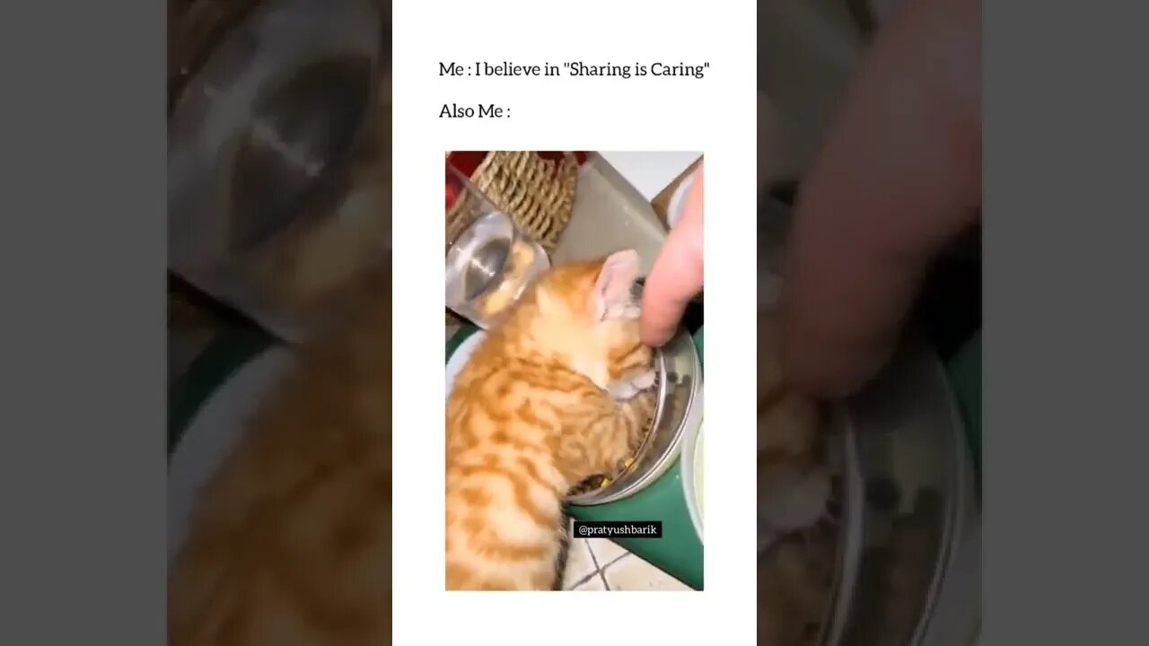 😂🤣
