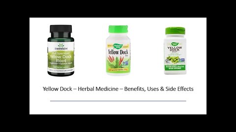 Yellow Dock Rumex crispus Herbal Medicine Benefits, Uses & Side Effects