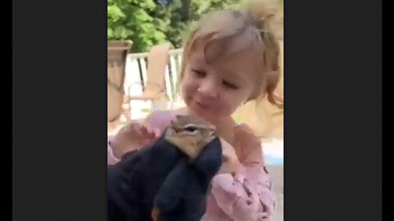 Precious Little Girl Is Enamored With A Squirrel - HaloRock