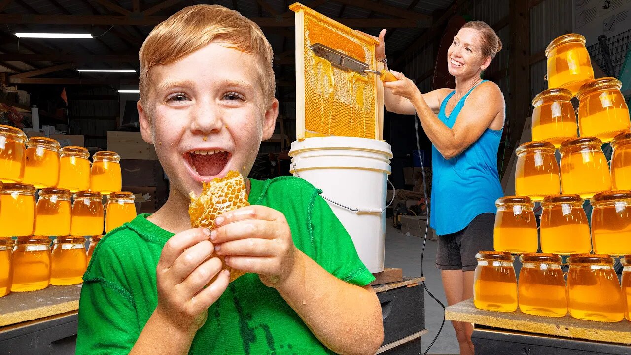 Most SATISFYING Honey Harvest Straight from the Bees