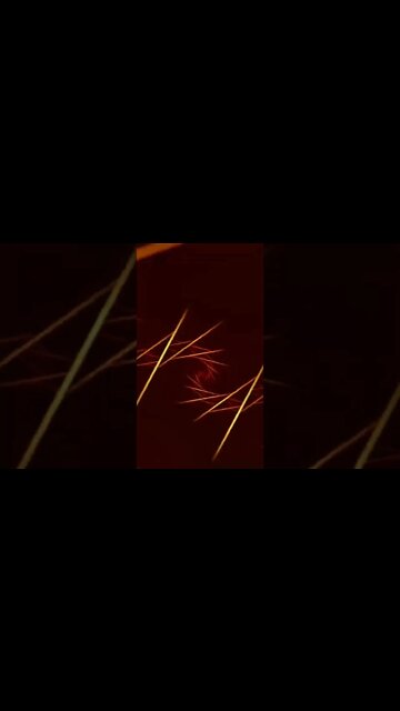 Rainy Morbid #ohhighbud #strangedanimal #visuals