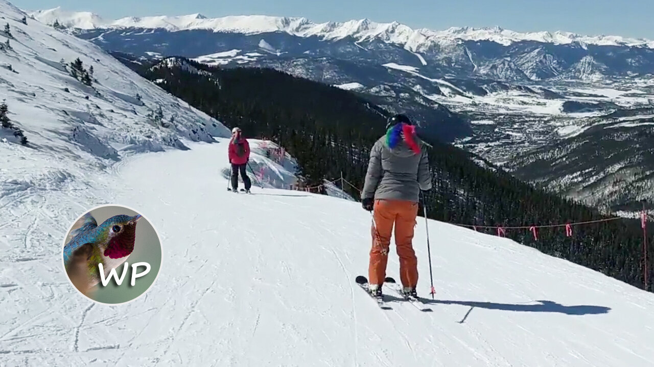 2021-2022 | Colorado Skiing