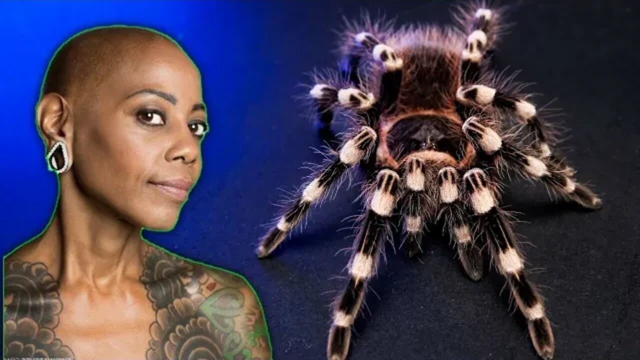 Nearly Bit By My Tarantula - Learning From Our Mistakes w/ Debra Wilson