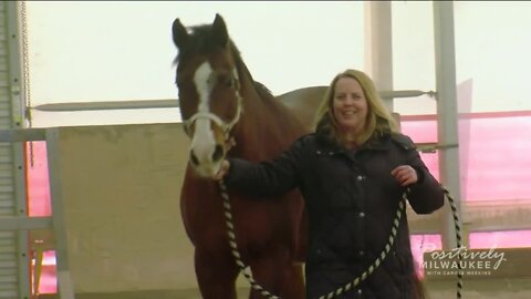 Stepping Stone Farms Equine Assisted Learning program helps people gain confidence