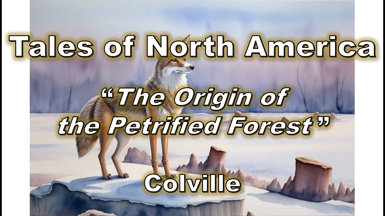 The Origin of the Petrified Forest