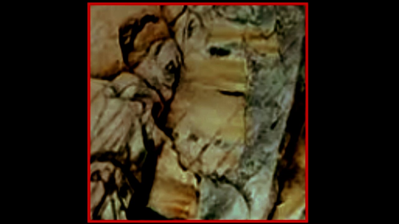 The Deep State & The Cult (Globalist Cabal) Control & Alter Basically All Digital Images Worldwide