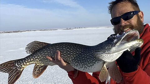 🔥Monster Northern!🔥