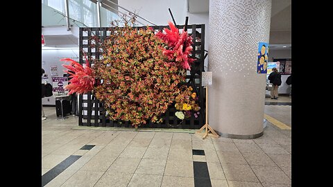 Hokutofuji / Takarafuji day 5 Kyushu basho 2024