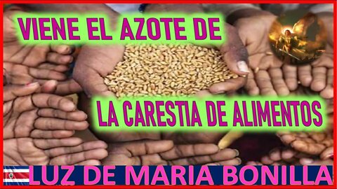 VIENE EL AZOTE DE LA CARESTIA DE ALIMENTOS - MENSAJE DE SAN MIGUEL DE ARCANGEL A LUZ DE MARIA