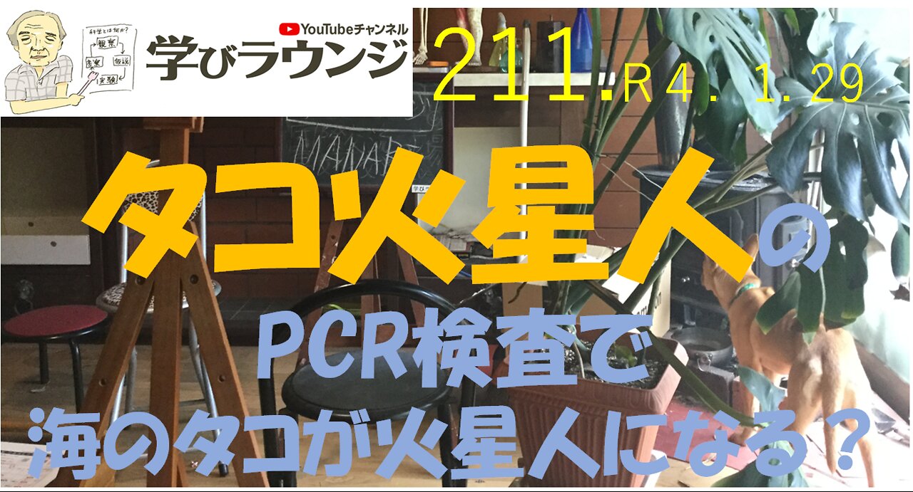 タコ火星人のPCR検査をすると海のタコが火星人になる？