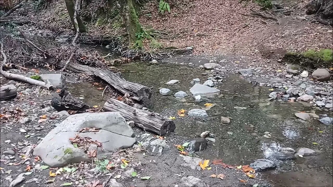 Looking for Old Roads in Stevens Creek Canyon