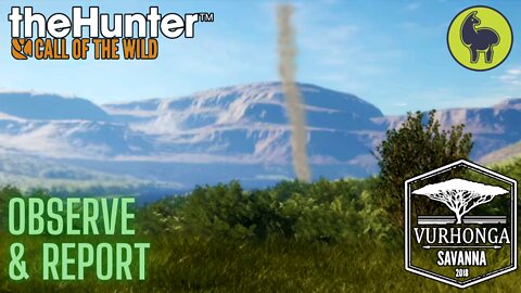 Observe and Report, Vurhonga Savanna | theHunter: Call of the Wild (PS5 4K)