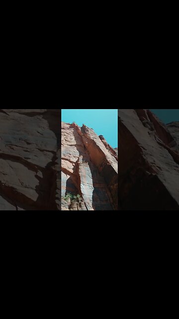 Birds of Emerald Pools | Zion National Park