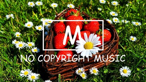 Daloka - My Holidays（Mm No Copyright Music）