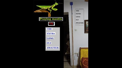 Praying Mantis_VS_Extra Long Fly Swatter