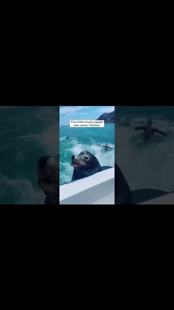 nadar é pros fracos 😂😂😂
