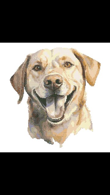 LABRADOR Cross Stitch Pattern by Welovit | welovit.net | #welovit