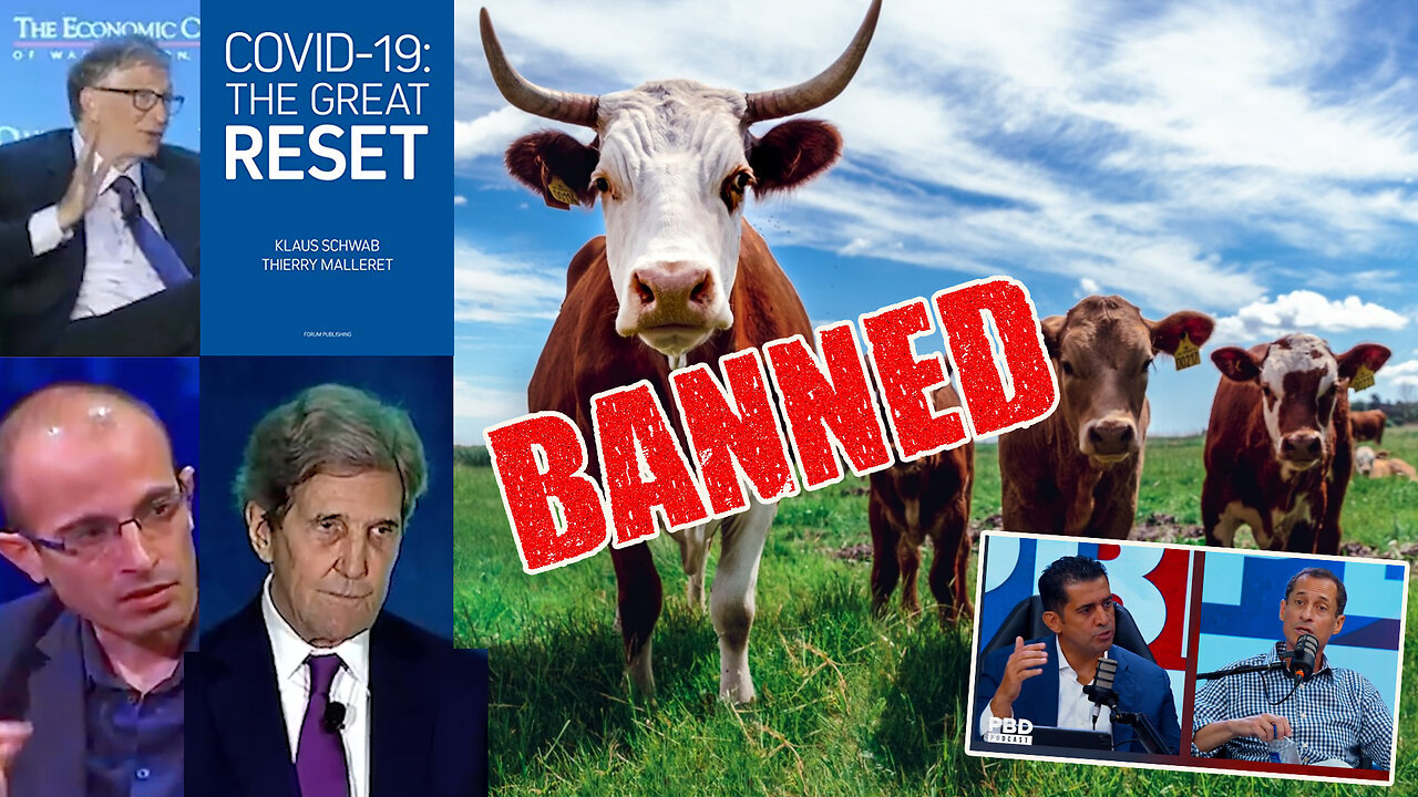 Cows | Are Bill Gates, Yuval Noah Harari, John Kerry, Henry Kissinger, Klaus Schwab & The World Economic Forum Planning On Banning Meat? + How to Protect Your Wealth & Your Health Now!!! + Patrick Bet David Interviews Anthony Weiner