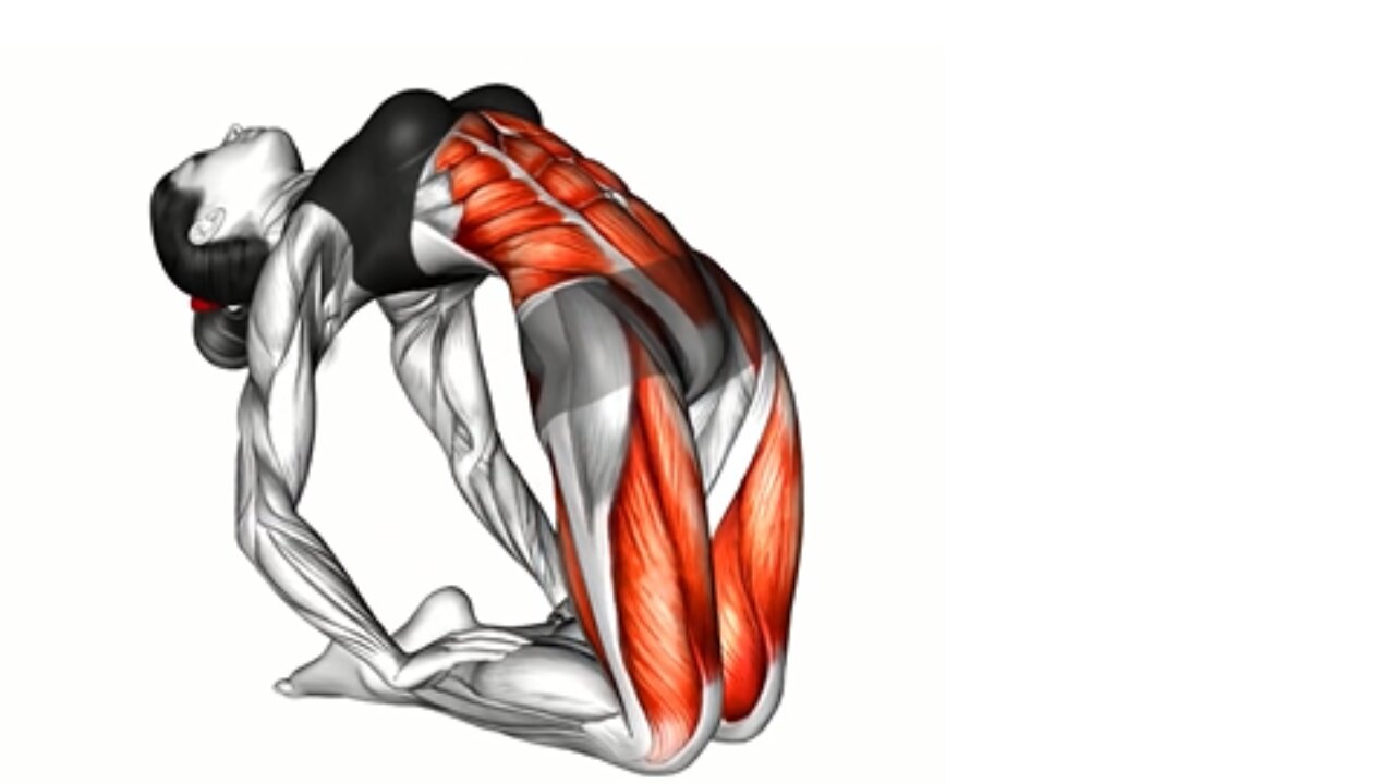 Exercises For Lower Back Pain