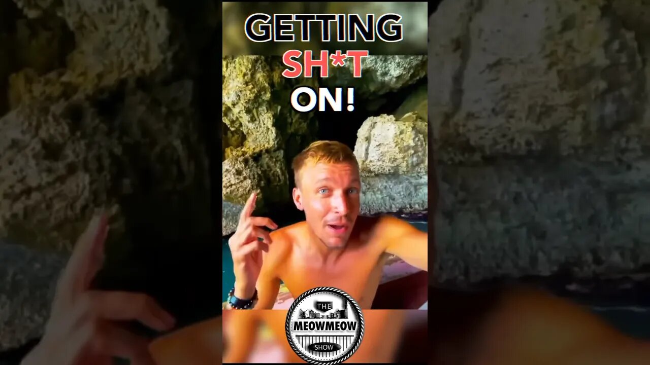 Getting Sh*t On By Bats in a Cave in Jamaica! #shorts #travel #jamaica #traveljamaica