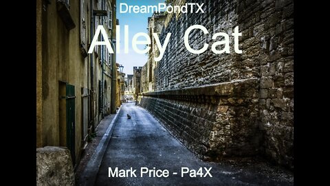 DreamPondTX/Mark Price - Alley Cat (Way Back)