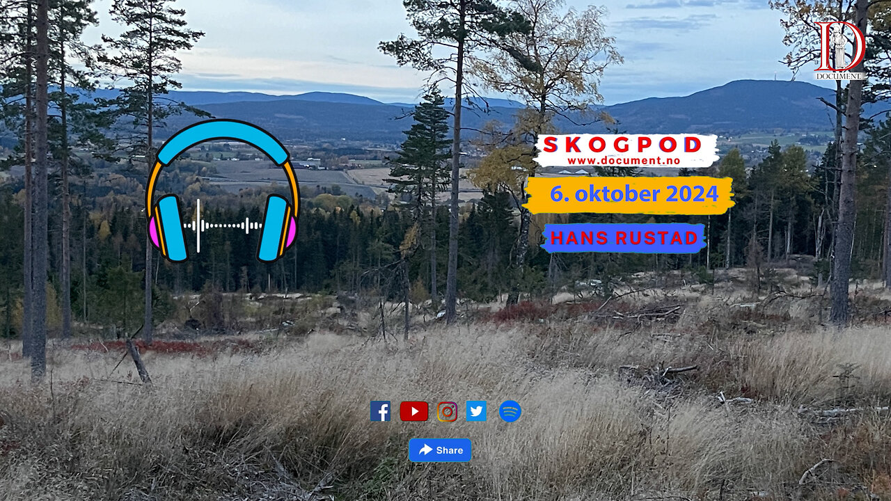 Skogpod 6. oktober 2024