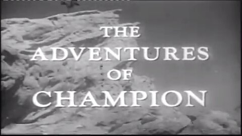 The Adventures Of Champion