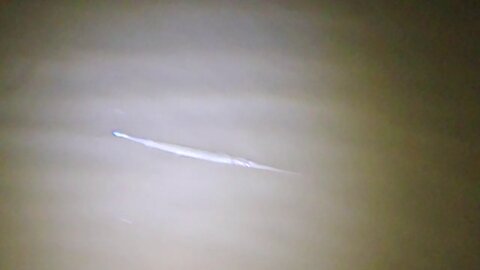 Small needlefish in Gould's Inlet - Saint Simons Island, Georgia - July 14, 2020