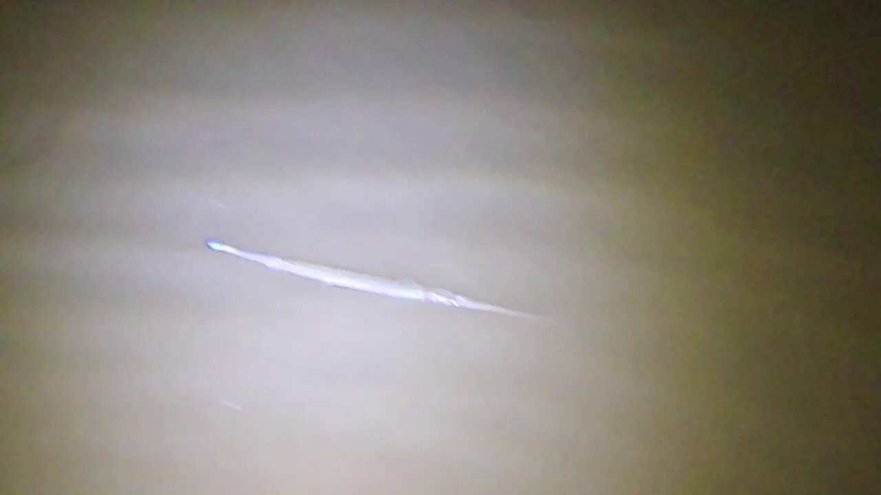 Small needlefish in Gould's Inlet - Saint Simons Island, Georgia - July 14, 2020