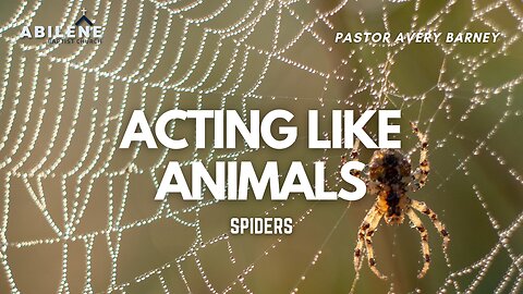 Acting Like Animals: Spiders Part 2 (Full Service) | Pastor Avery Barney