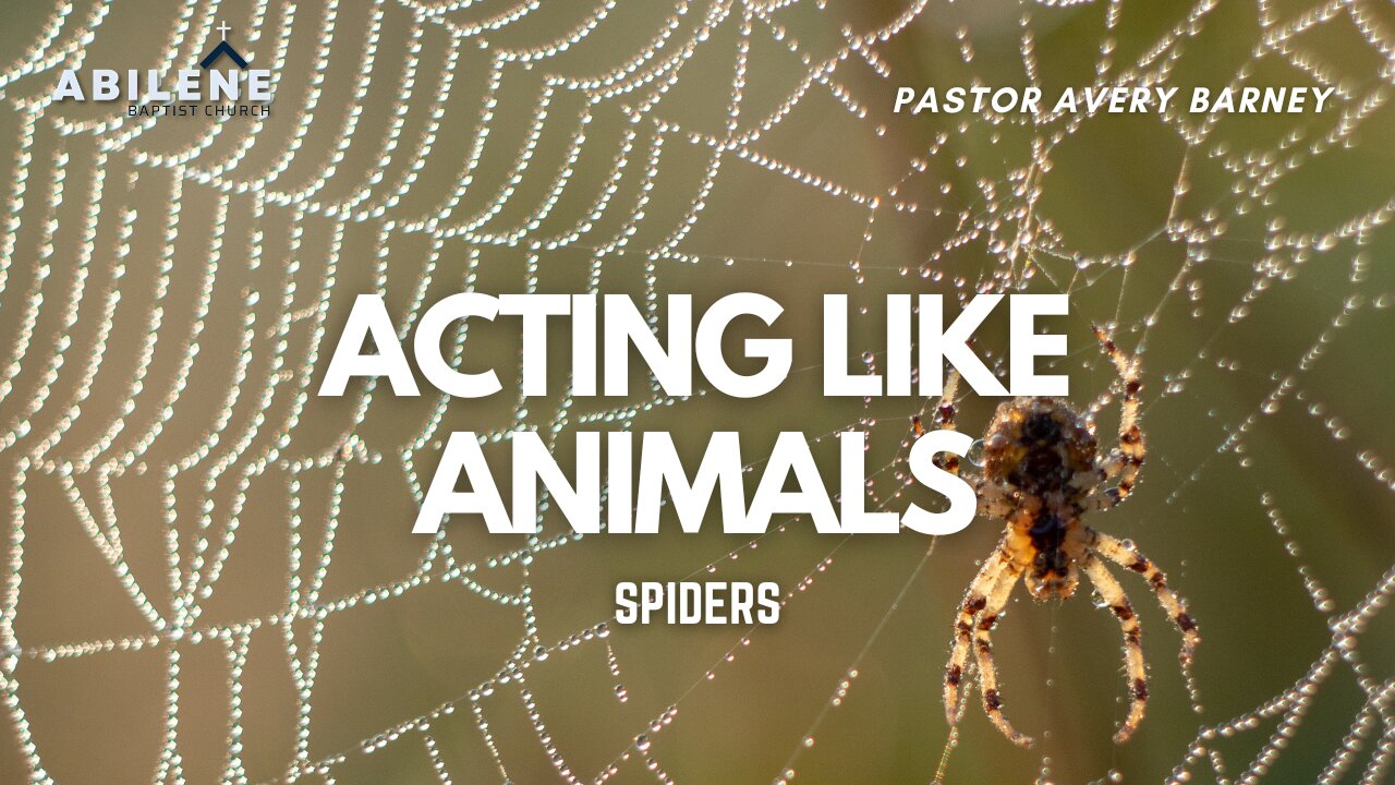 Acting Like Animals: Spiders Part 2 (Full Service) | Pastor Avery Barney