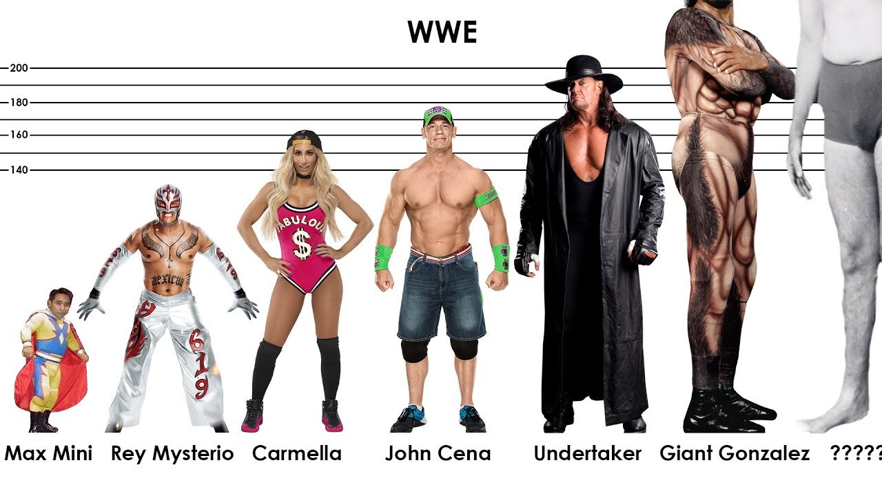 WWE Wrestlers HEIGHT Comparison