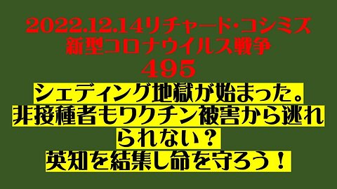 2022.12.14 リチャード・コシミズ新型コロナウイルス戦争４９５