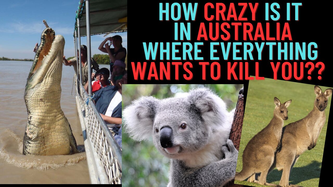 How Crazy is Australia where everything nearly wants to Kill you?