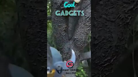 #tiktok #tiktokchina #beauty #shorts #smartgadgetgallery #trending #kitchentools #2022 #future