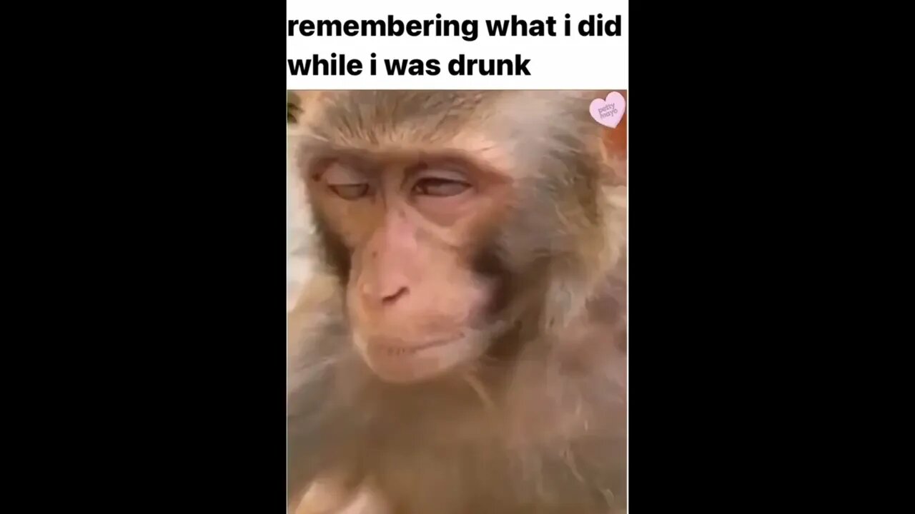 I'm so embarrassed...