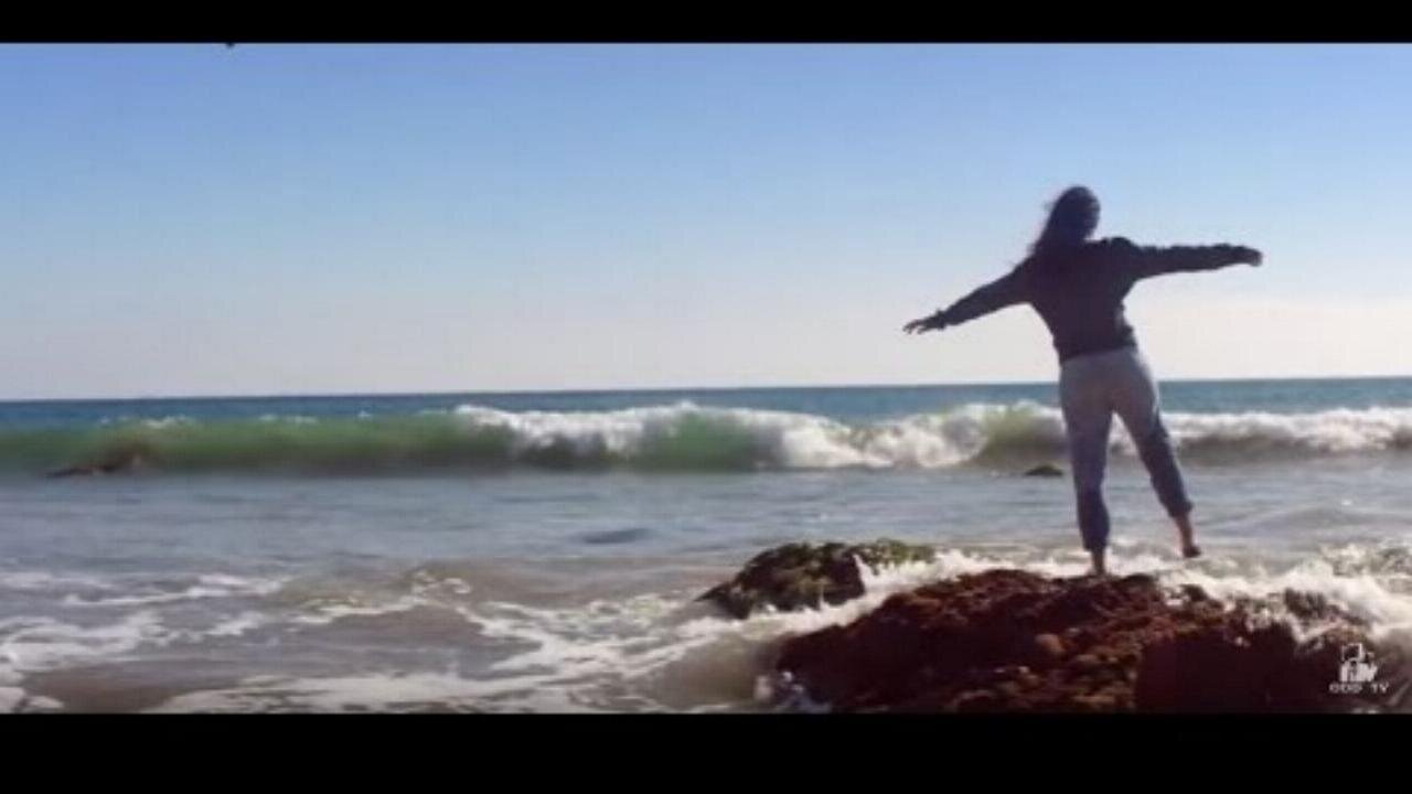 ♫ Amber Plaster | Earth Not A Globe | Flat Earth Music ▶️️ ♫