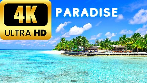 Coastal Dreams in Ultra HD: 4K Beach Escapes