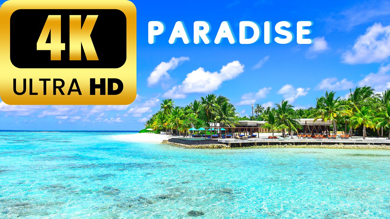 Coastal Dreams in Ultra HD: 4K Beach Escapes