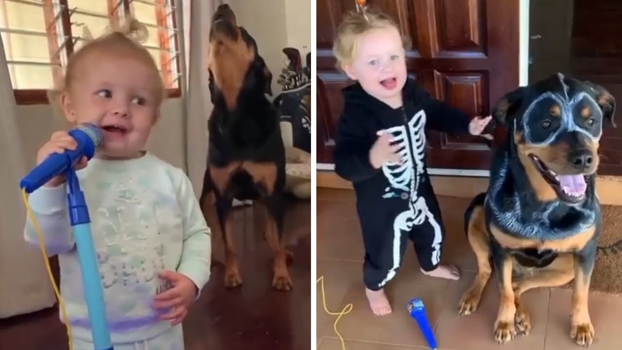 Rottweiler and little girl share very special friendship