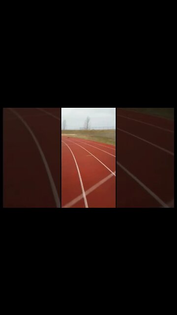 Chasing after a wild fox 🦊