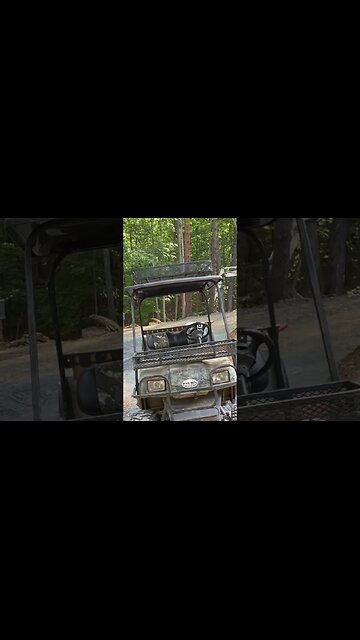 Checking on our wren chicks!