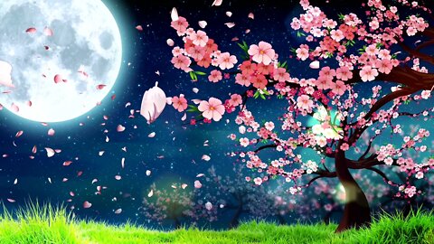 Cherry Blossom Petals Farewell Ambience CALMING Instrumental